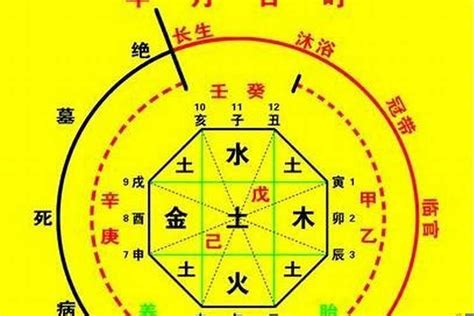 五行命理|生辰八字算命、五行喜用神查詢（免費測算）